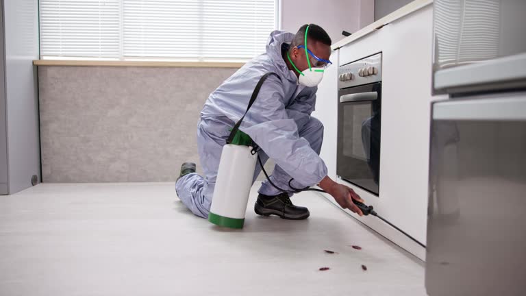 Best Commercial Pest Control  in Knightstown, IN